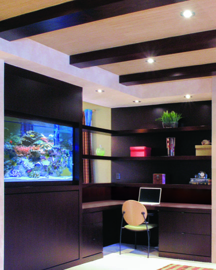 Tarzana Full Home project by B David Levine, view 4